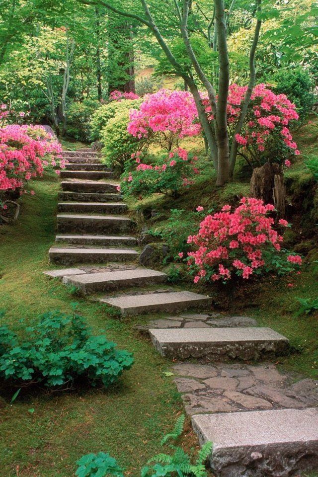 Outdoor Style