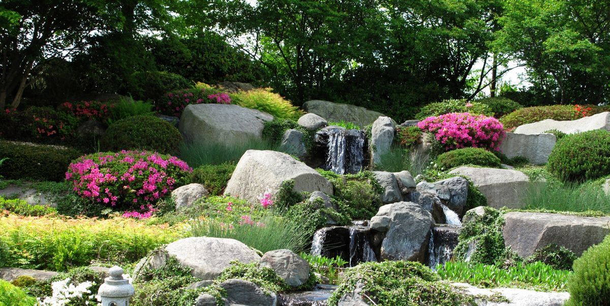 Low Water Gardening