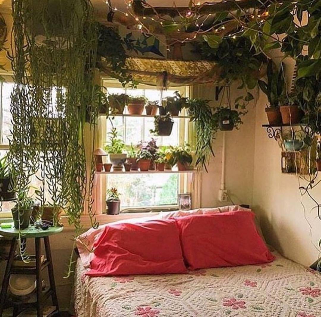 Greenthumb Approved Raised Garden Bed Ideas