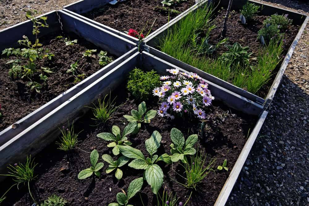 Rubber Mulch Landscape Design