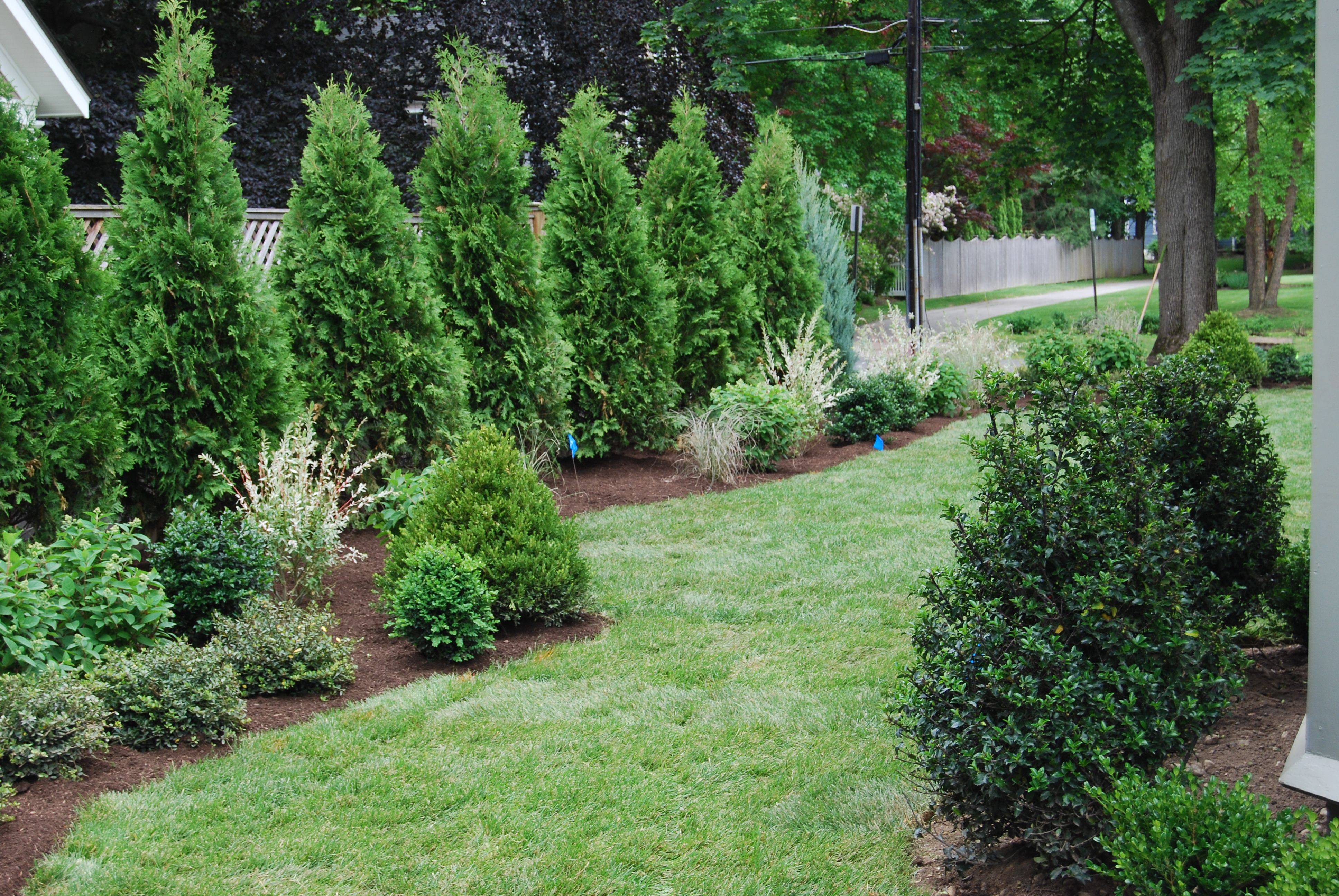 The Middlesized Garden