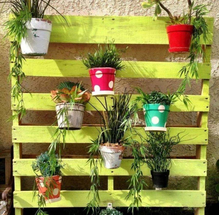 Best Minimalist Garden Design Ideas