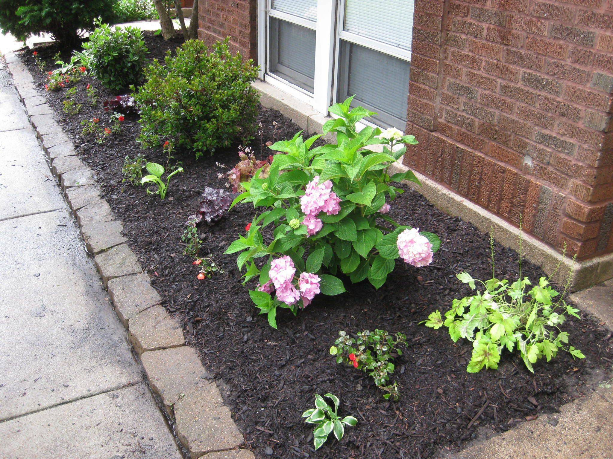 Tiny Minimalist Homes Herbs Indoors