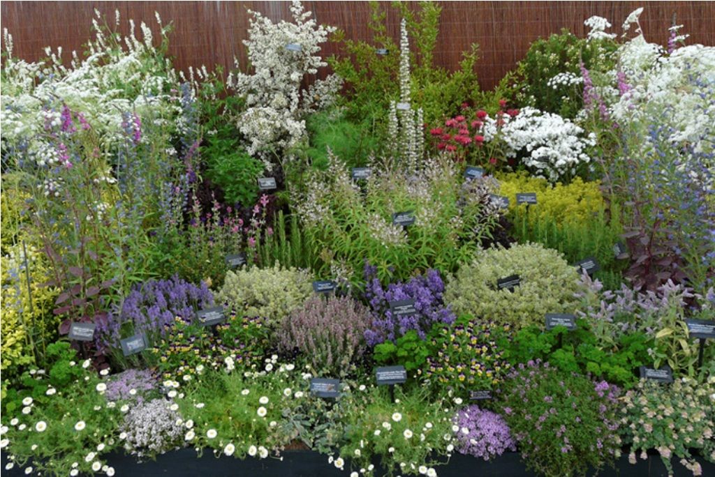 The Gravel Garden