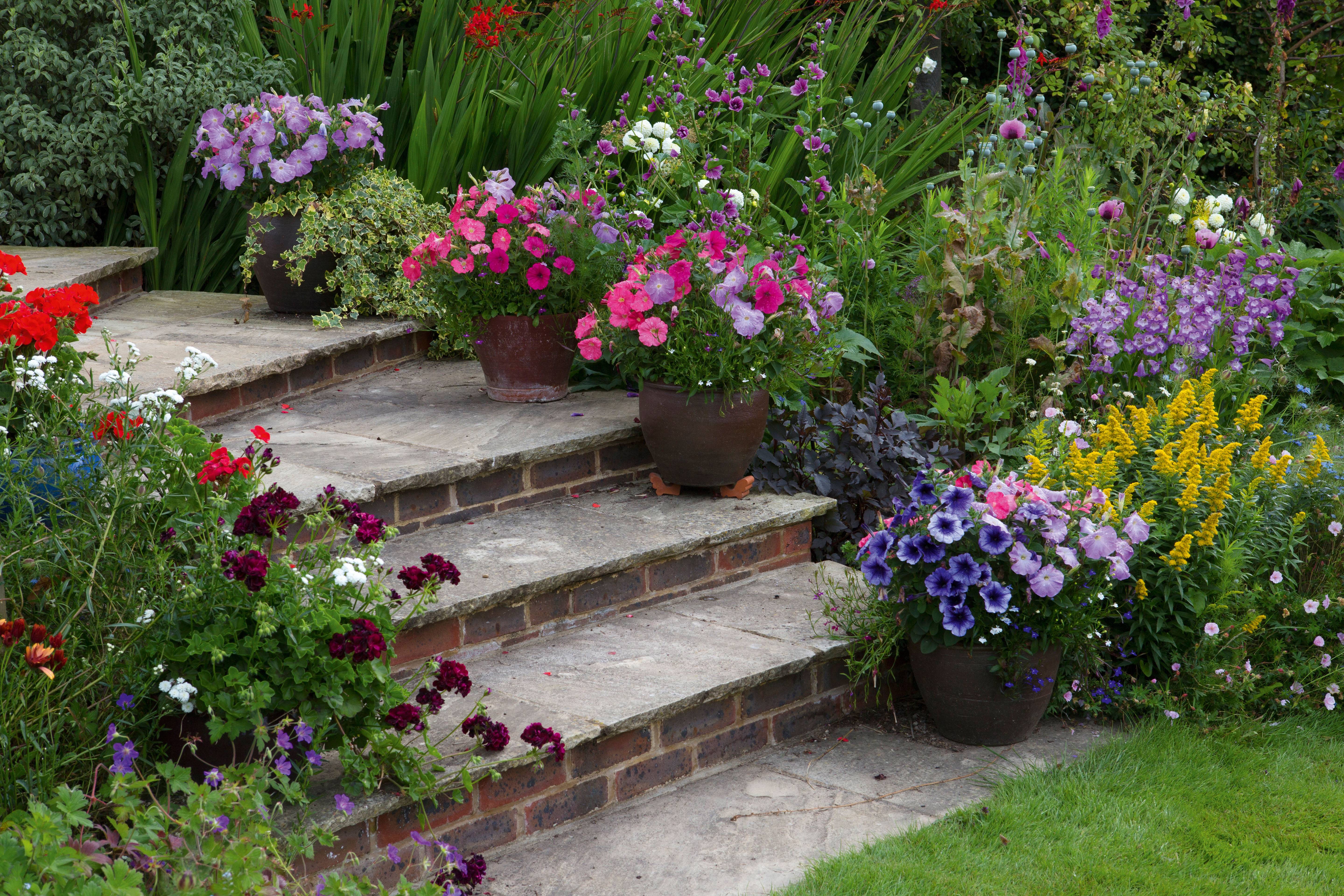 A Shady Border Anne Macfie Garden Design Rustic Style Garden Homify