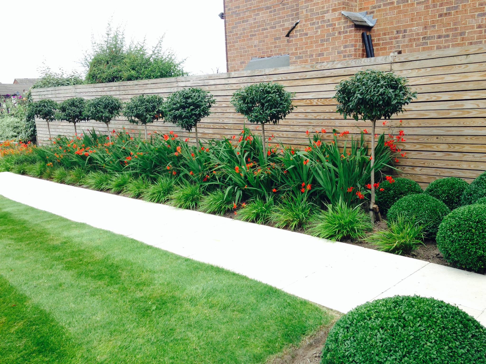 Garden Border Ideas