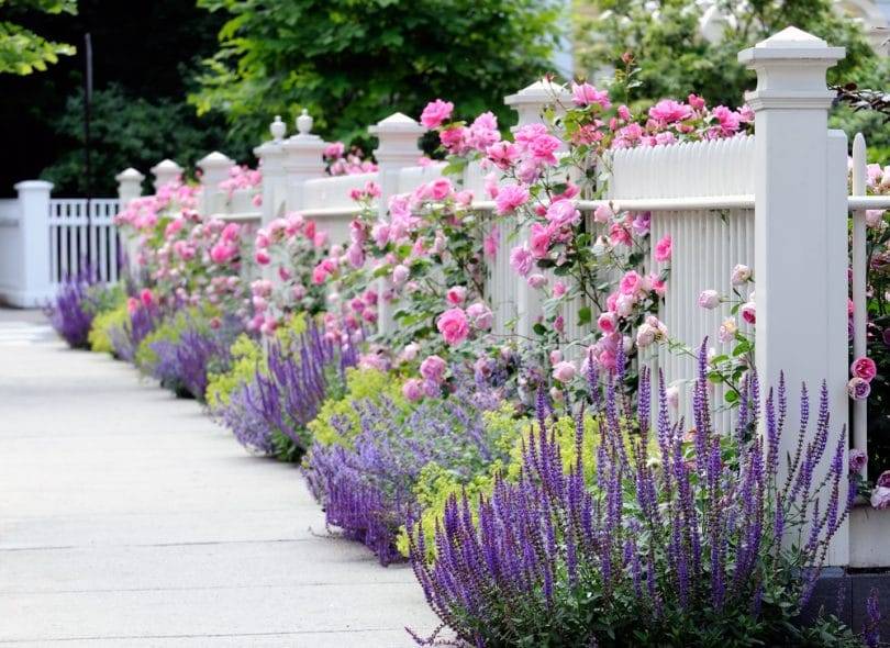 Garden Border Ideas Uk Bbc Mbgardening Garden Inspiration Inspiration