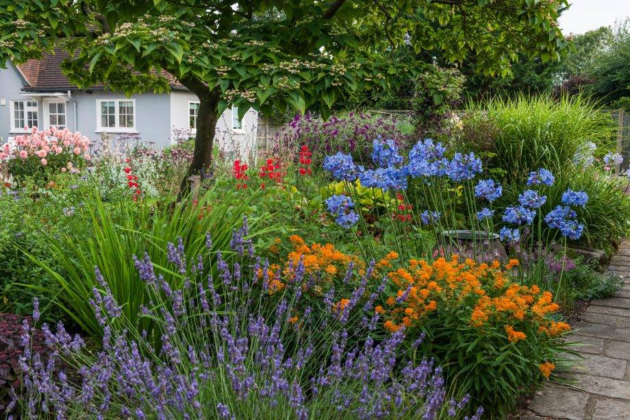 Herbaceous Border