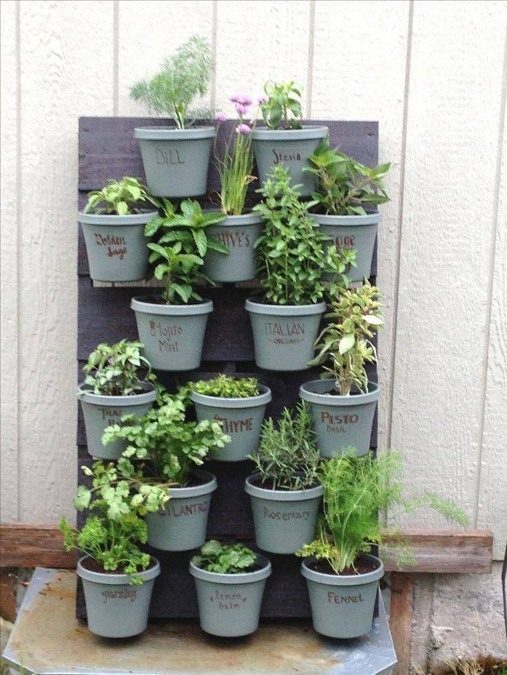 Simple Herb Garden Designs