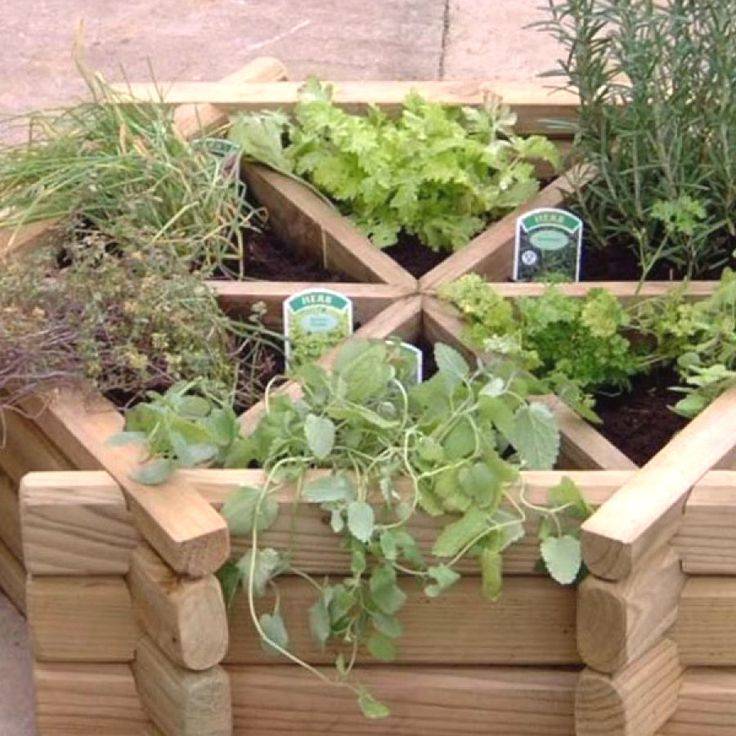 Kitchen Herbs Garden Ideas