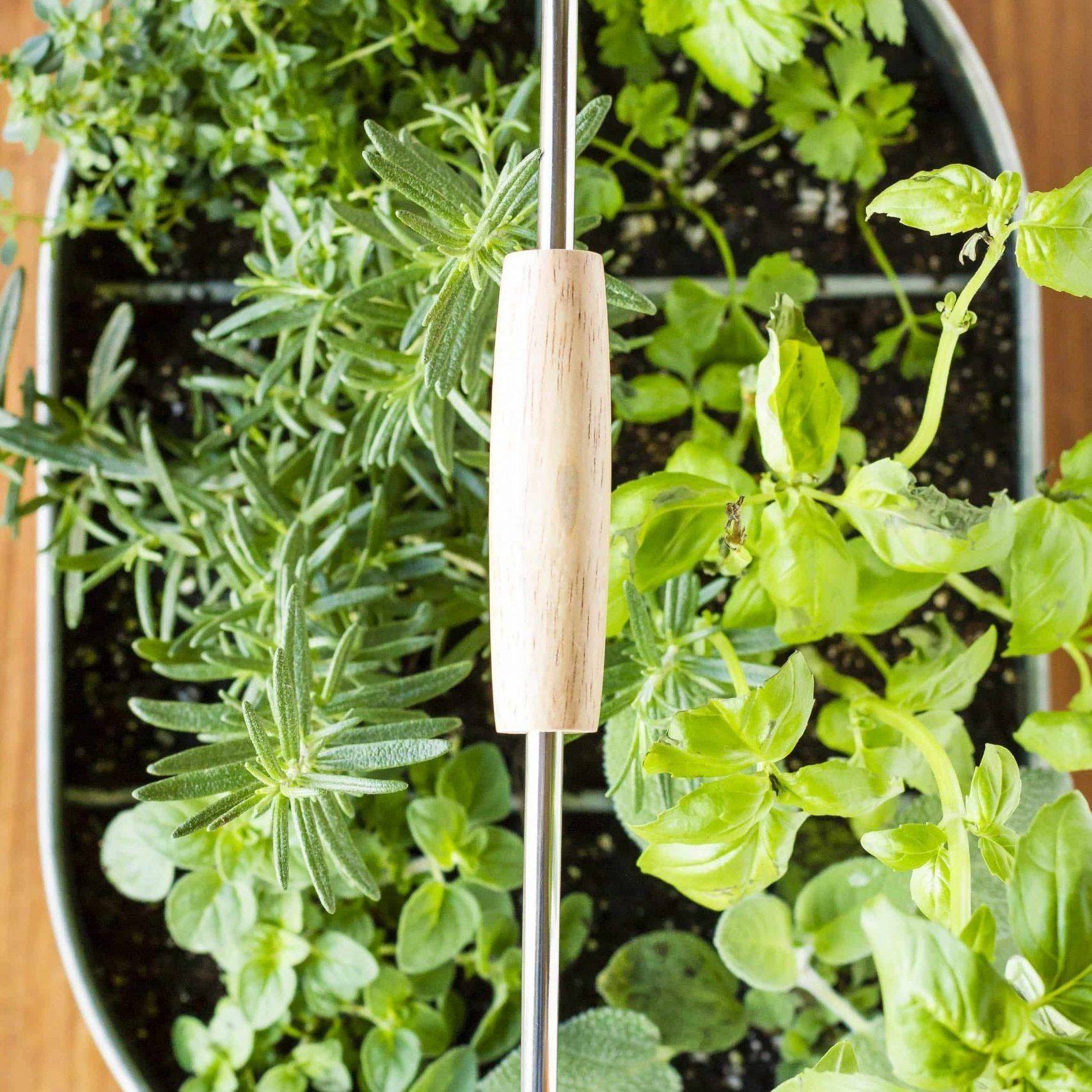 Herb Garden Indoor Ideas Page