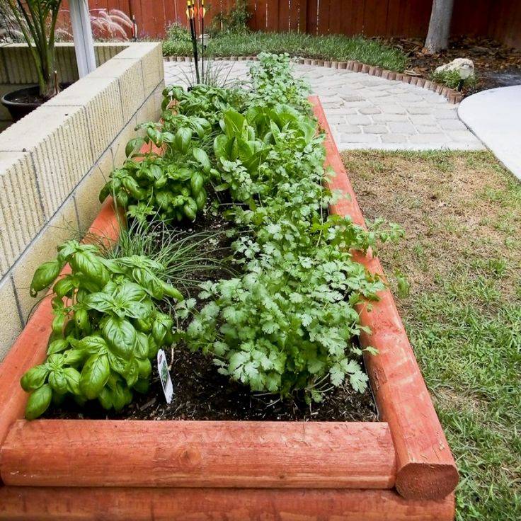 A Simple Formal Herb Garden