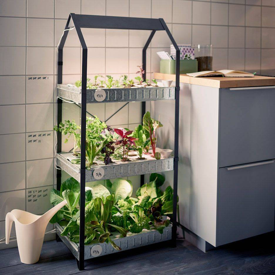 An Ikea Container Herbs Garden Indoor