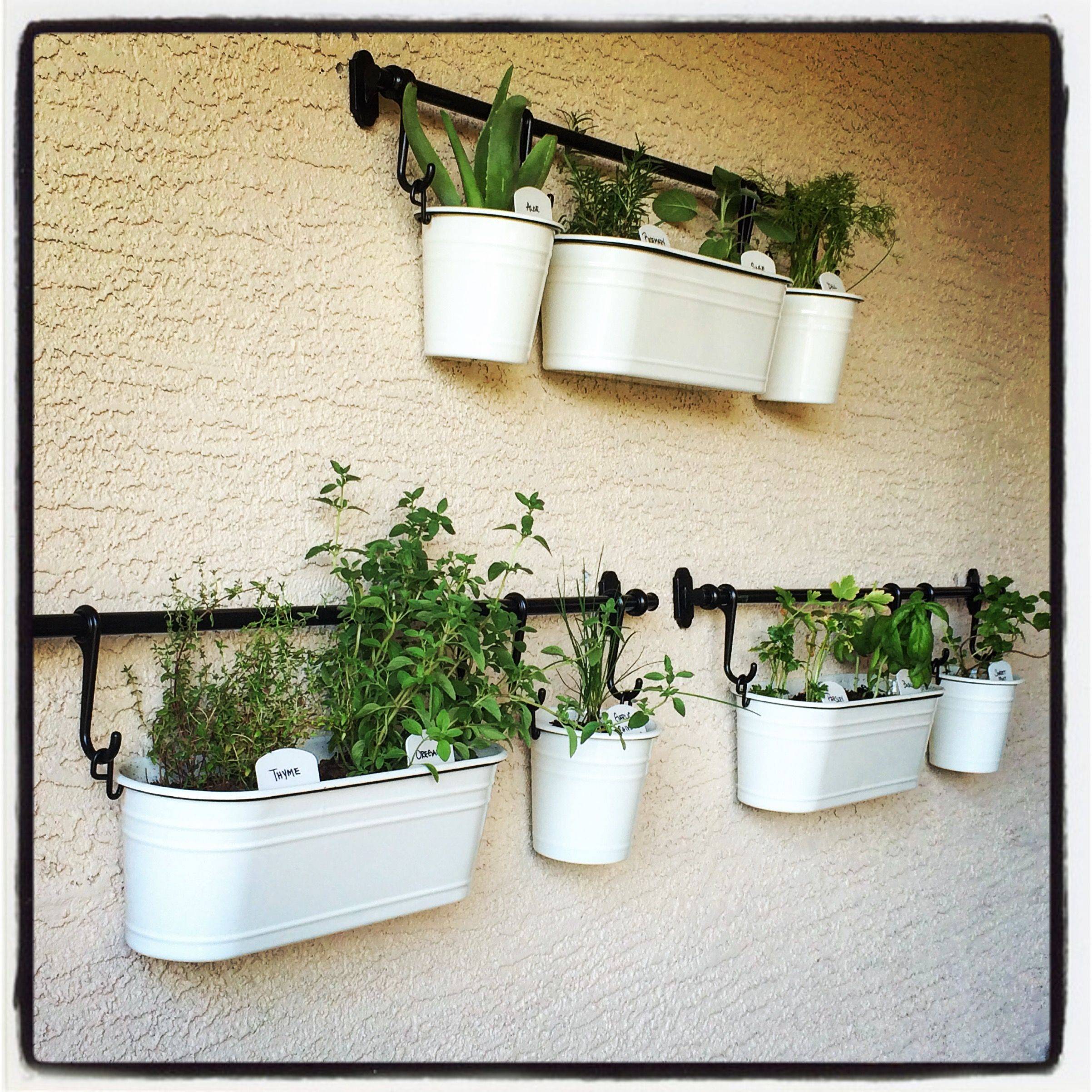 Indoor Herb Garden