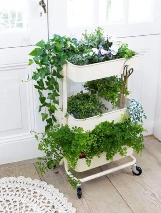 Wall Herbs Garden Ideas