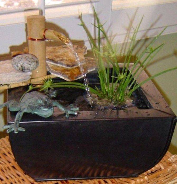 Surprising Indoor Water Garden Ideas