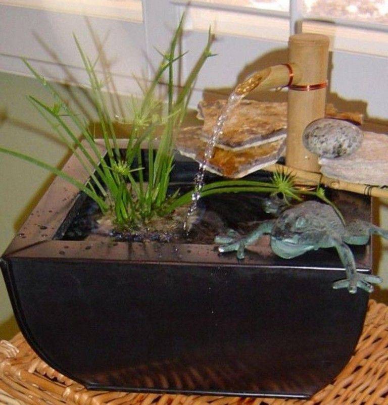 Indoor Container Water Garden Ideas