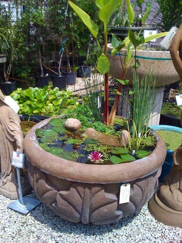 Indoor Container Water Garden Ideas