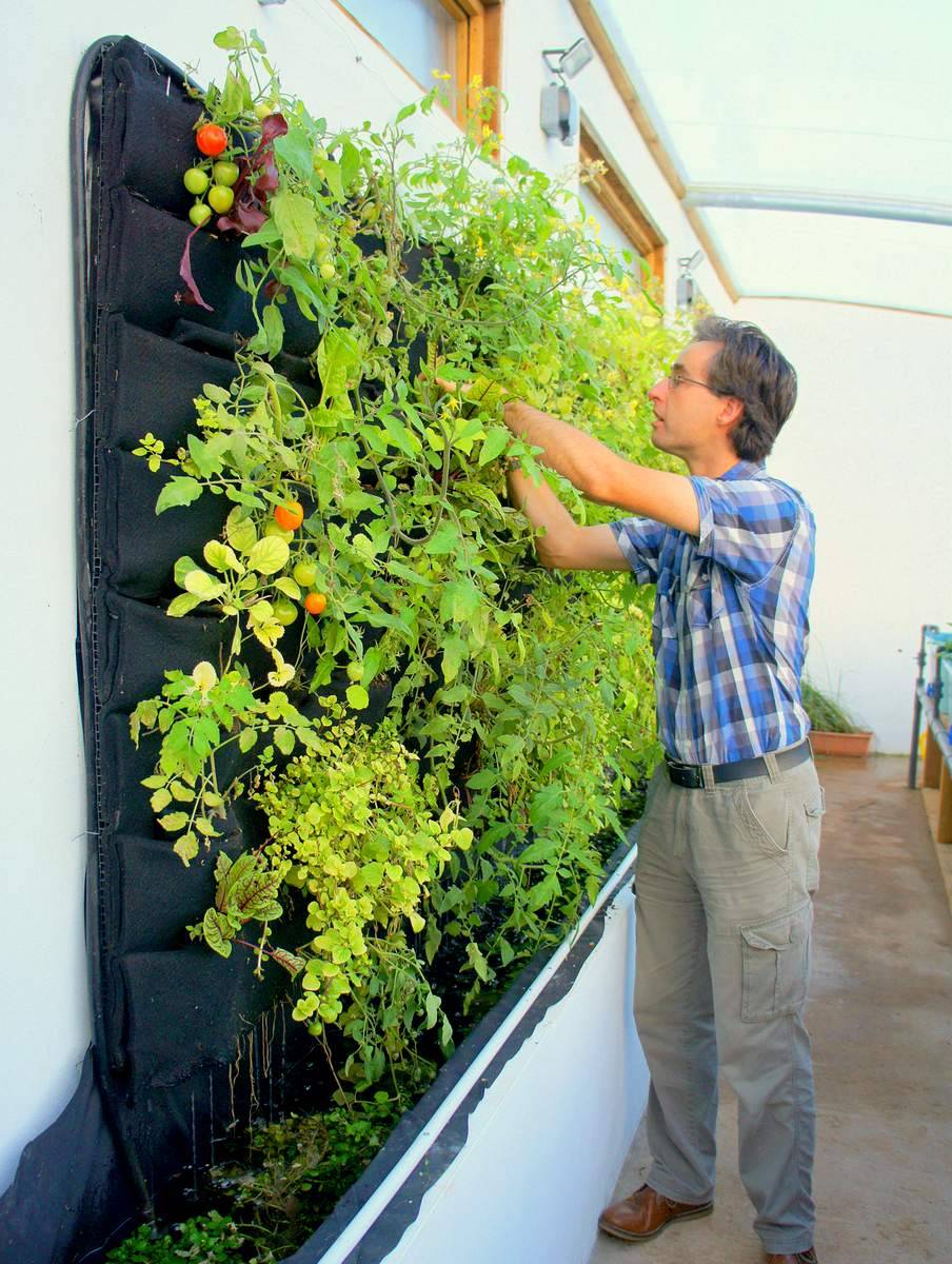 Diy Hydroponic Garden