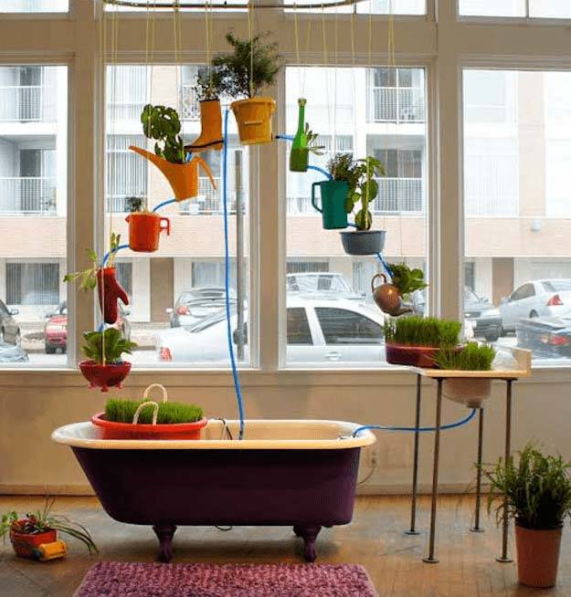 Diy Hydroponic Gardens