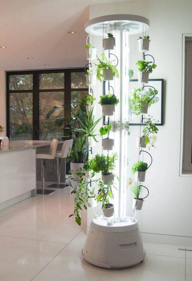 Indoor Hydroponic Garden Ideas