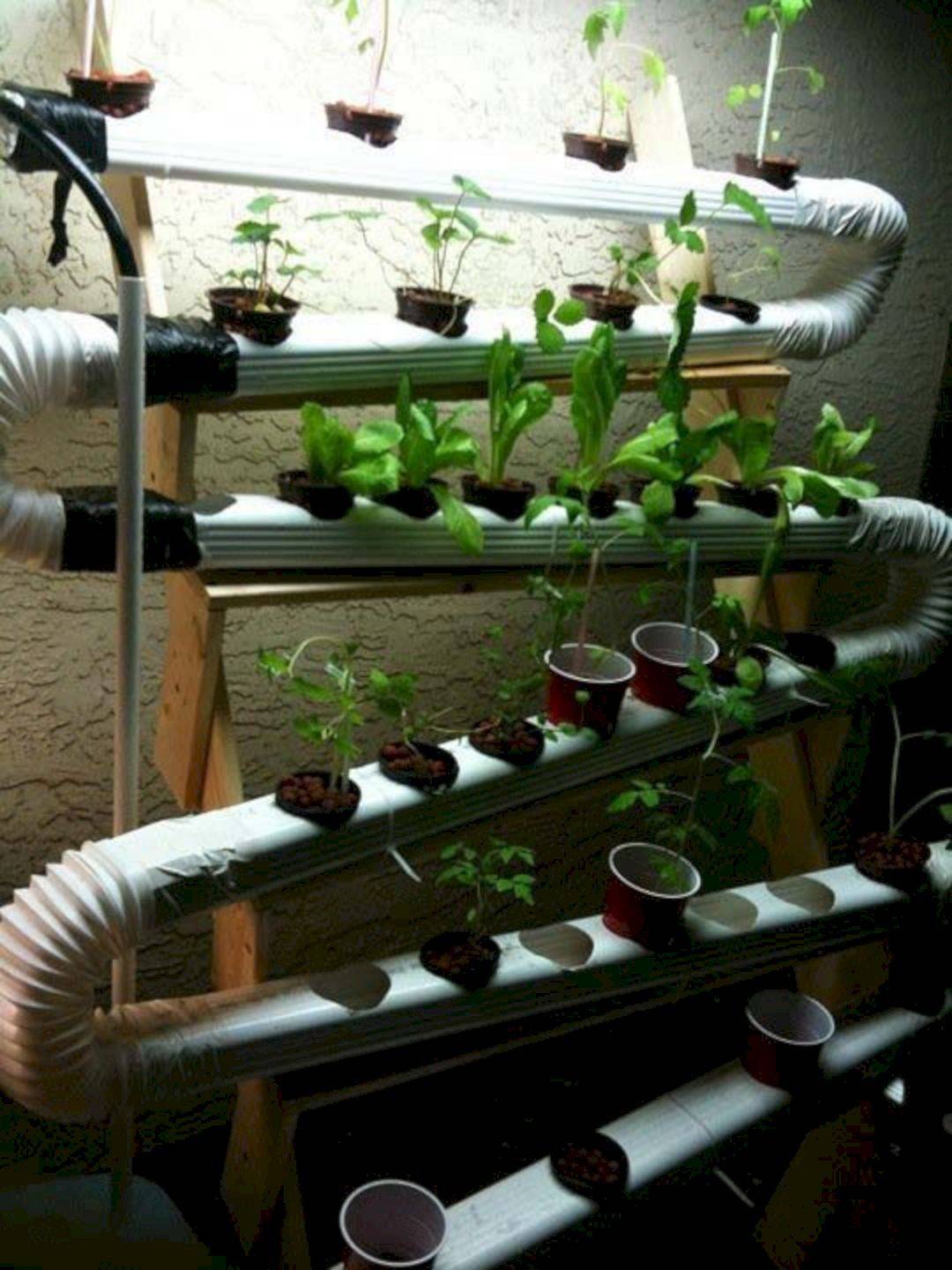 Indoor Hydroponic Wall Garden