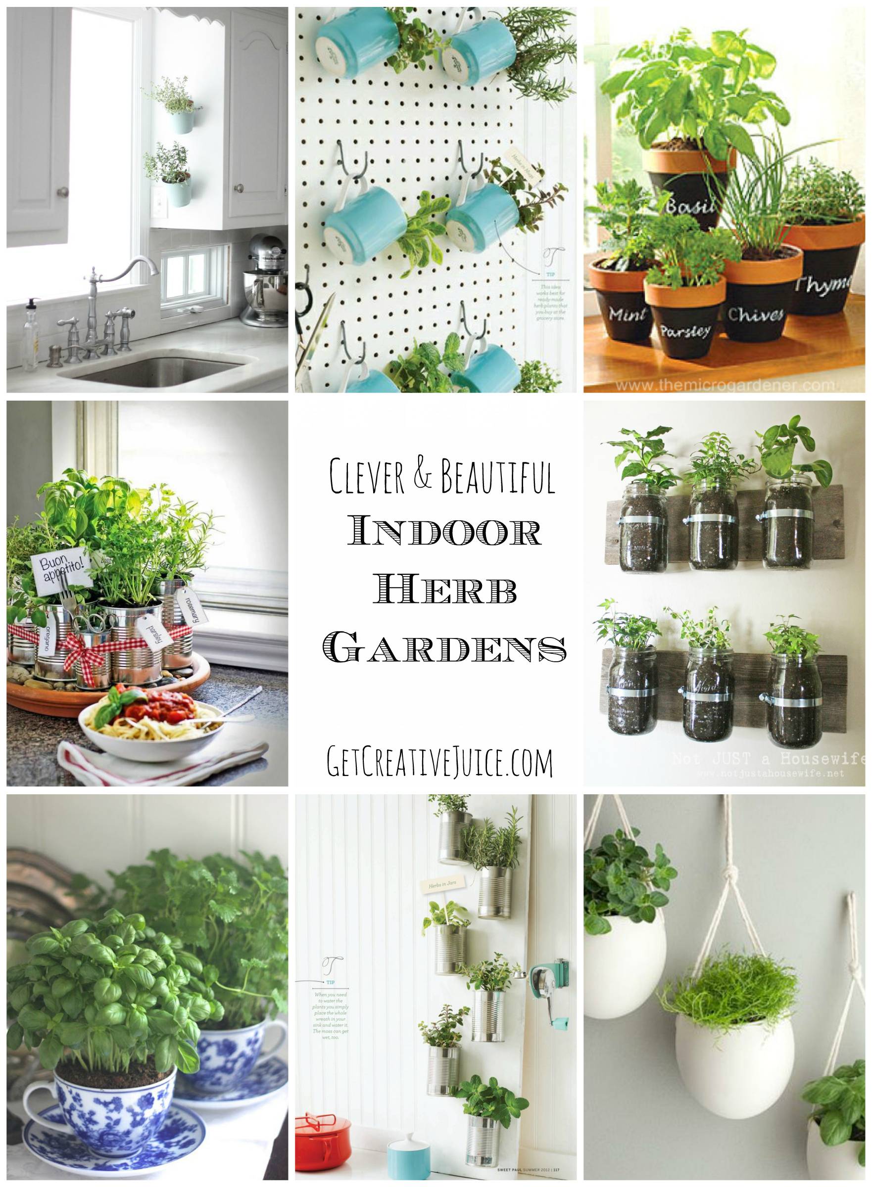 Creative Indoor Garden Ideas