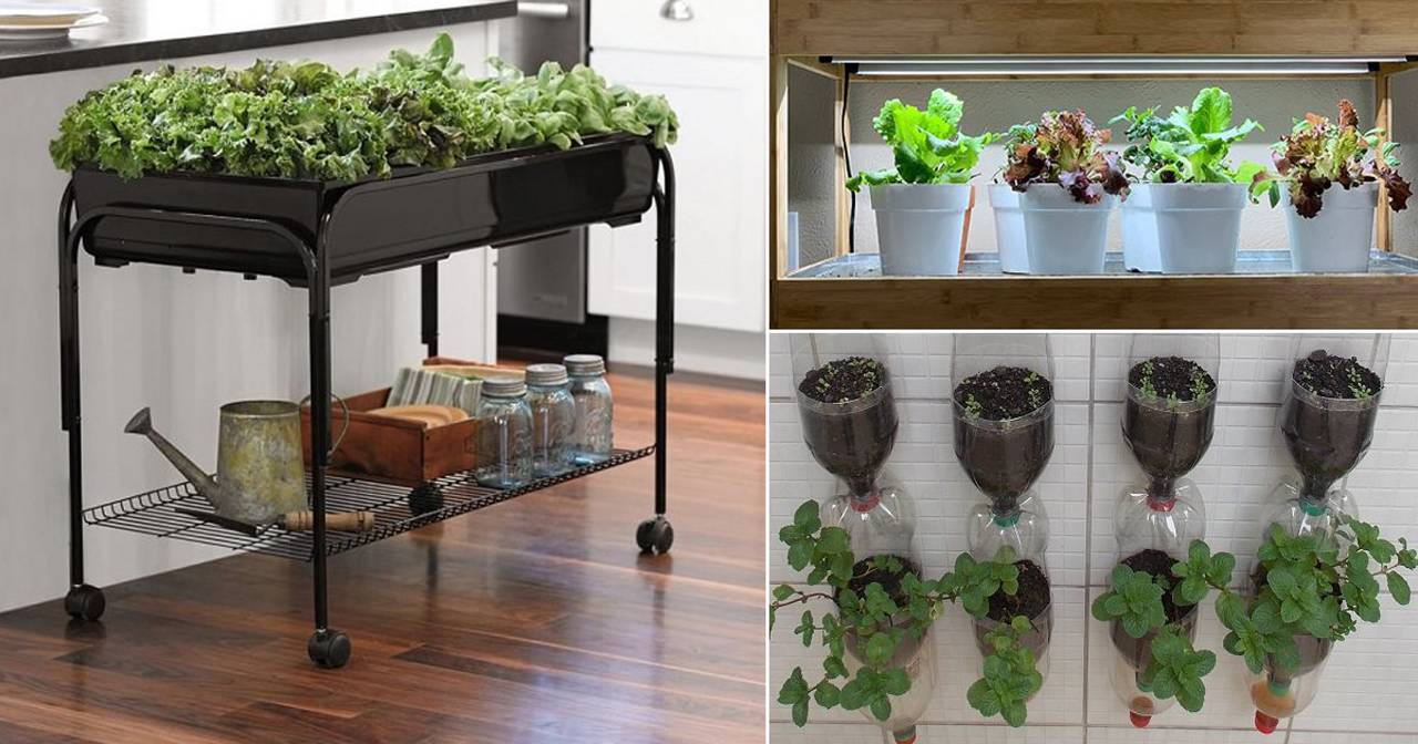 Inspiration Balcony Garden Web