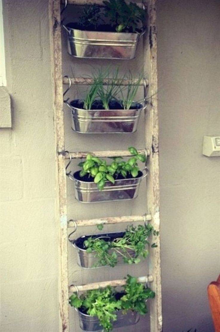 Indoor Garden Ideas