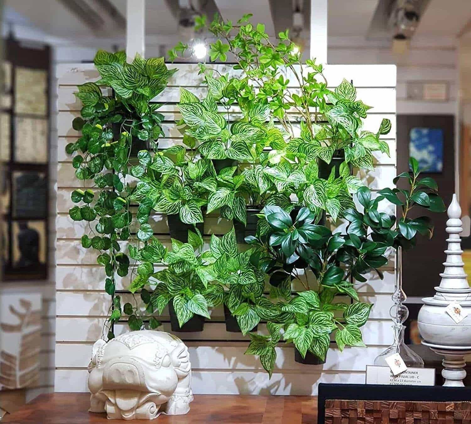An Indoor Garden