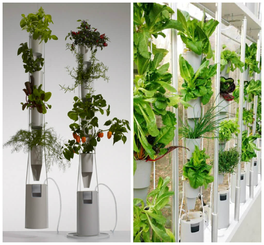 The Ultimate Indoor Vegetable Gardening Guide