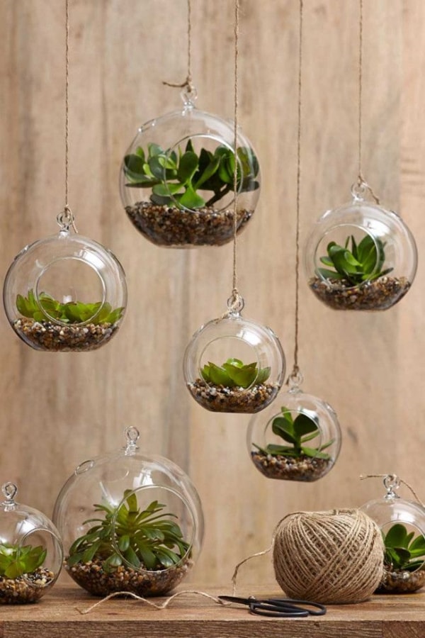 Indoor Vegetable Gardening