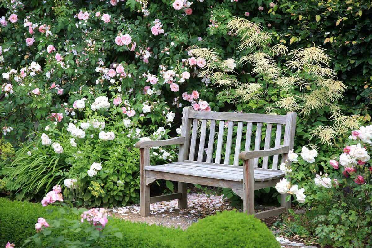 Flower Garden And Vintage Bench Garden Bench