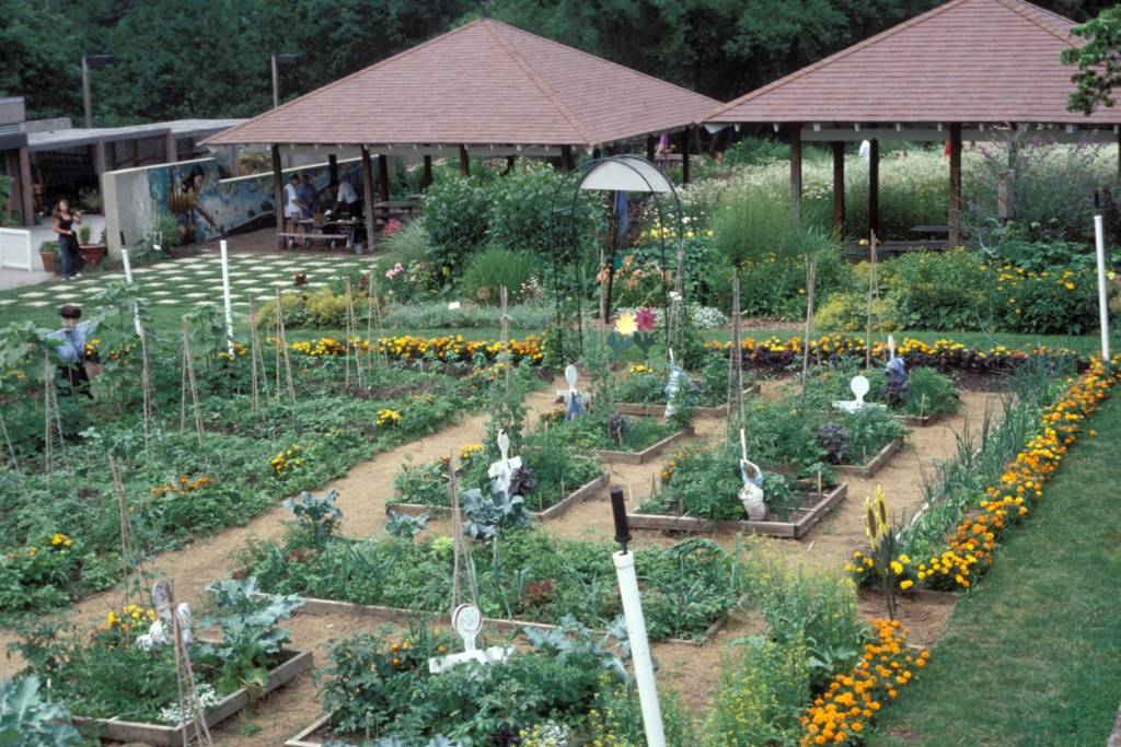 Floridafriendly Landscaping Ideas