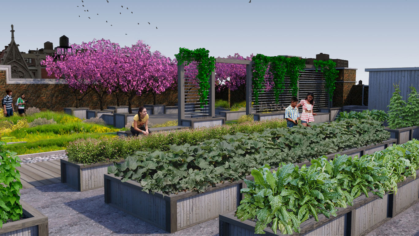 Urbanrooftopgardeningideas