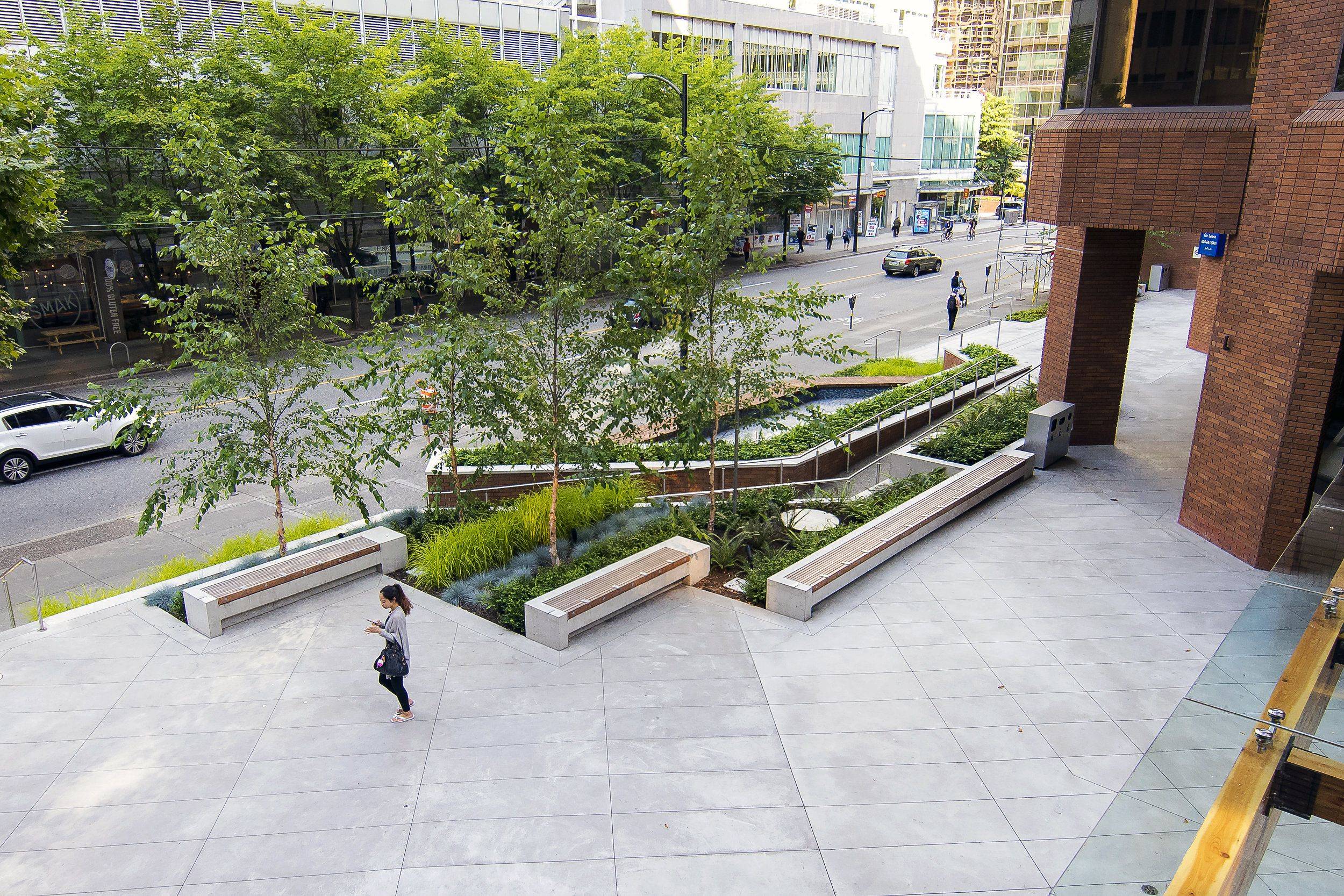 Fulham Slim Subtle Garden Club London Small Courtyard Gardens