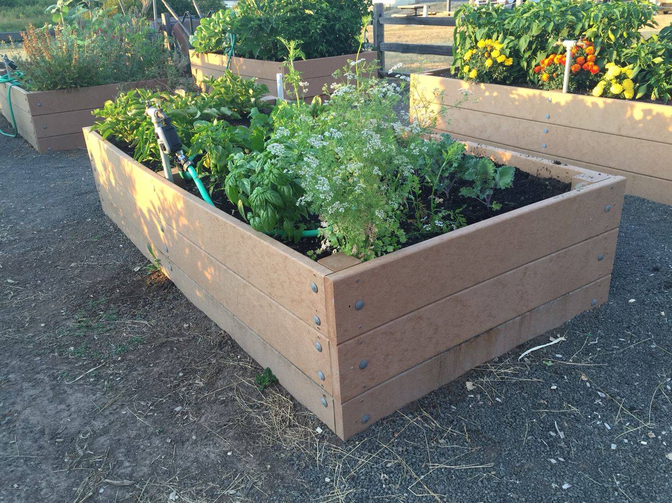 Most Popular Raised Garden Beds
