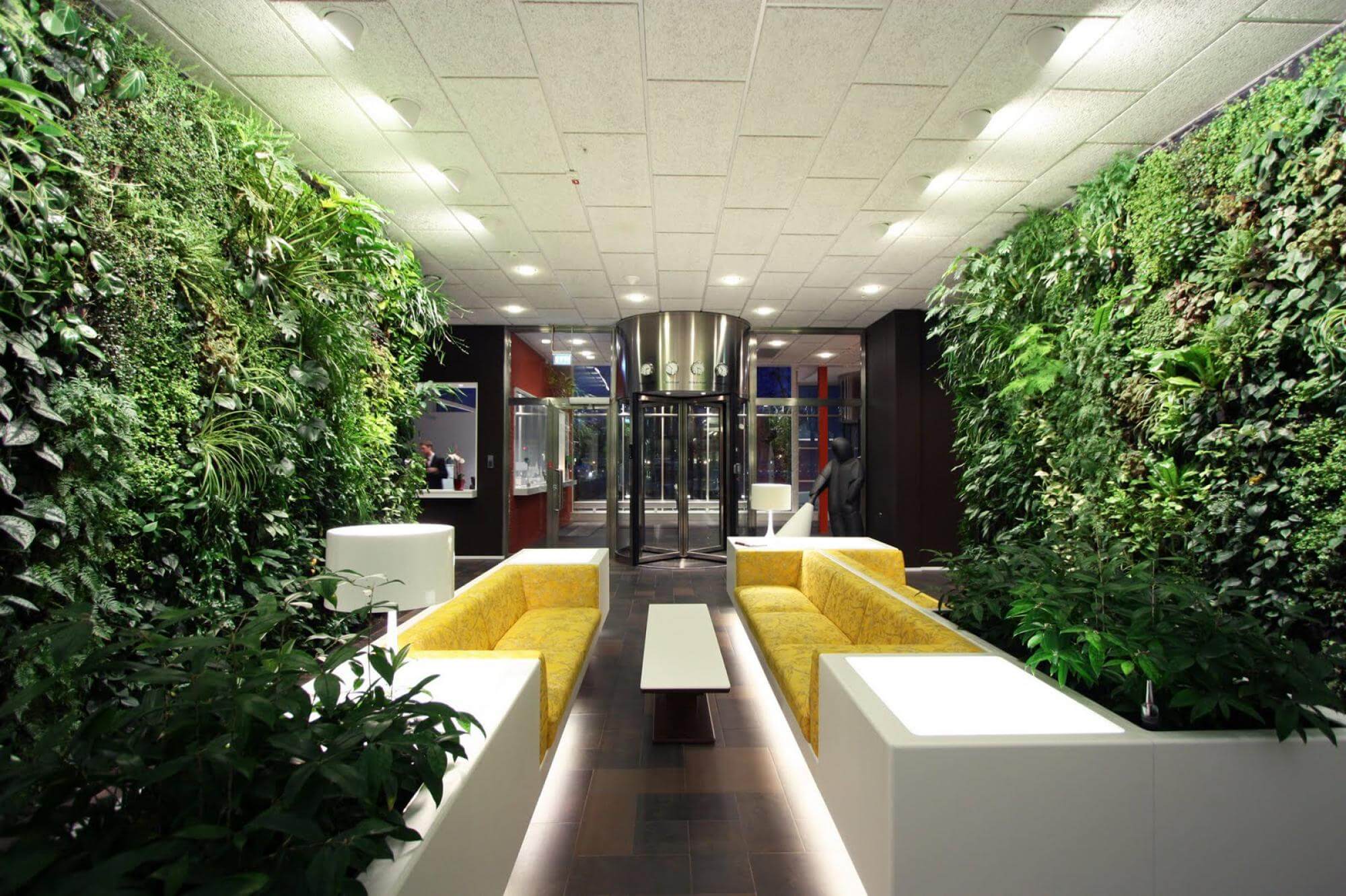 Indoor Garden Office And Office Plants Design Ideas