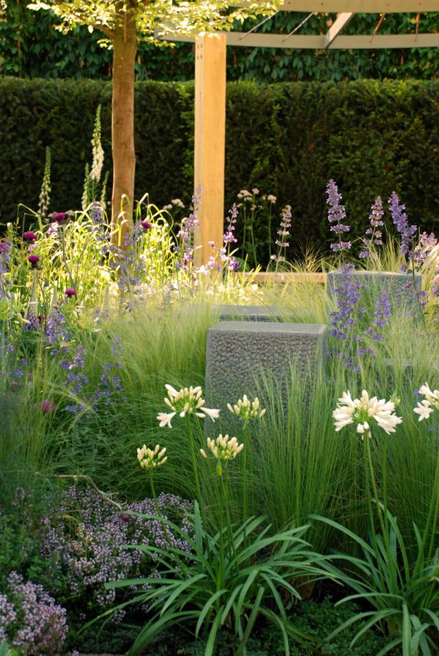 Five Butterfly Garden Tips