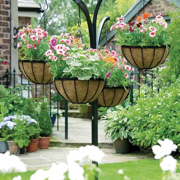 Small Gardens Balcony Garden Web