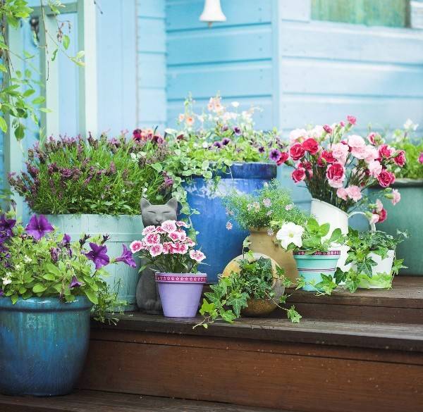 Balcony Planter Ideas