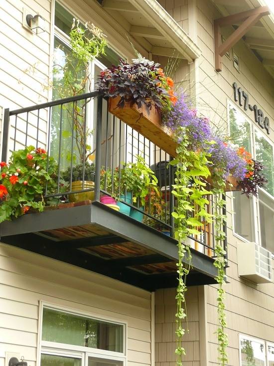 Vertical Balcony Garden Ideas