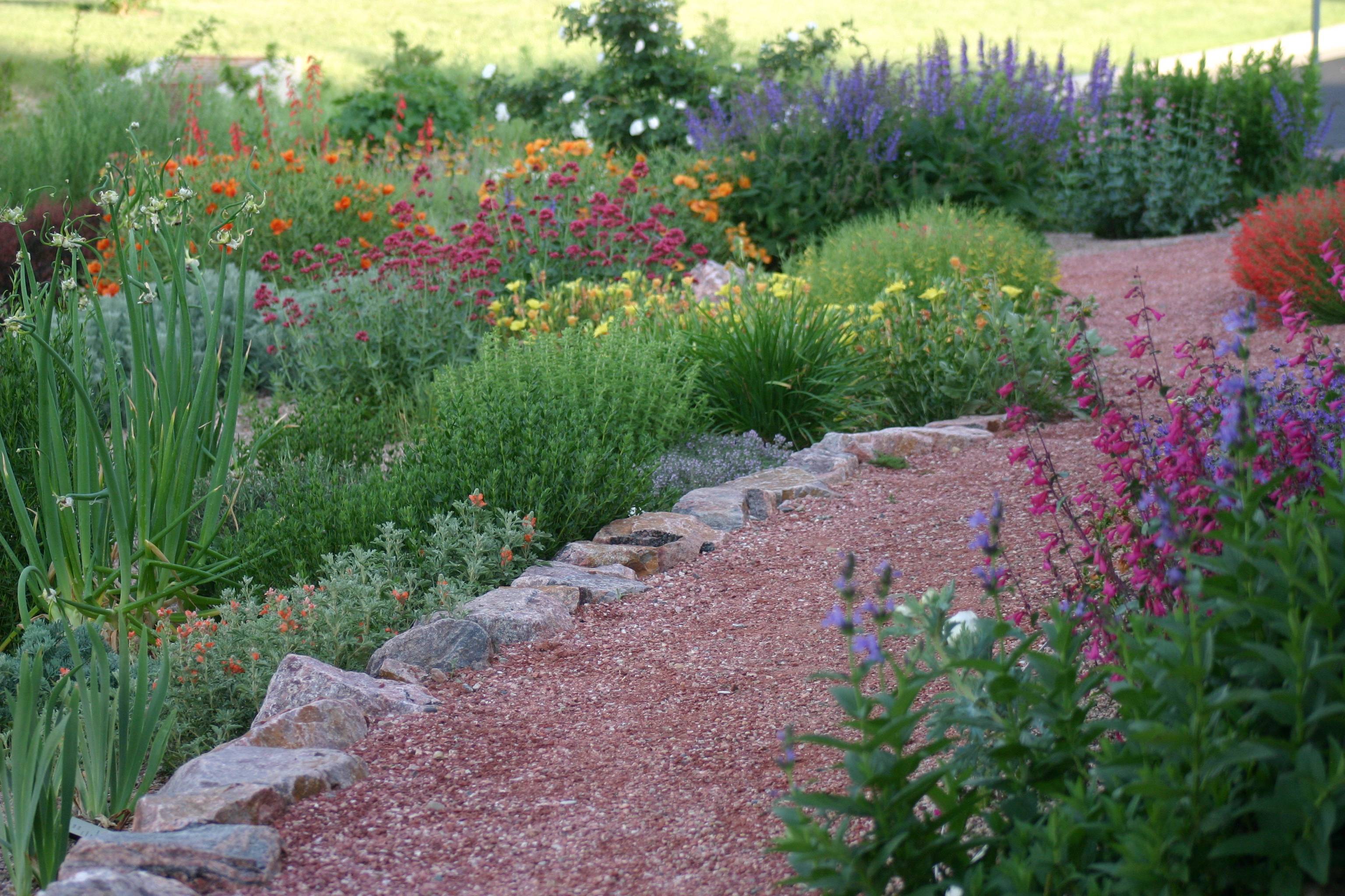 Best Best Xeriscape Landscaping Colorado Inspirations You Need To