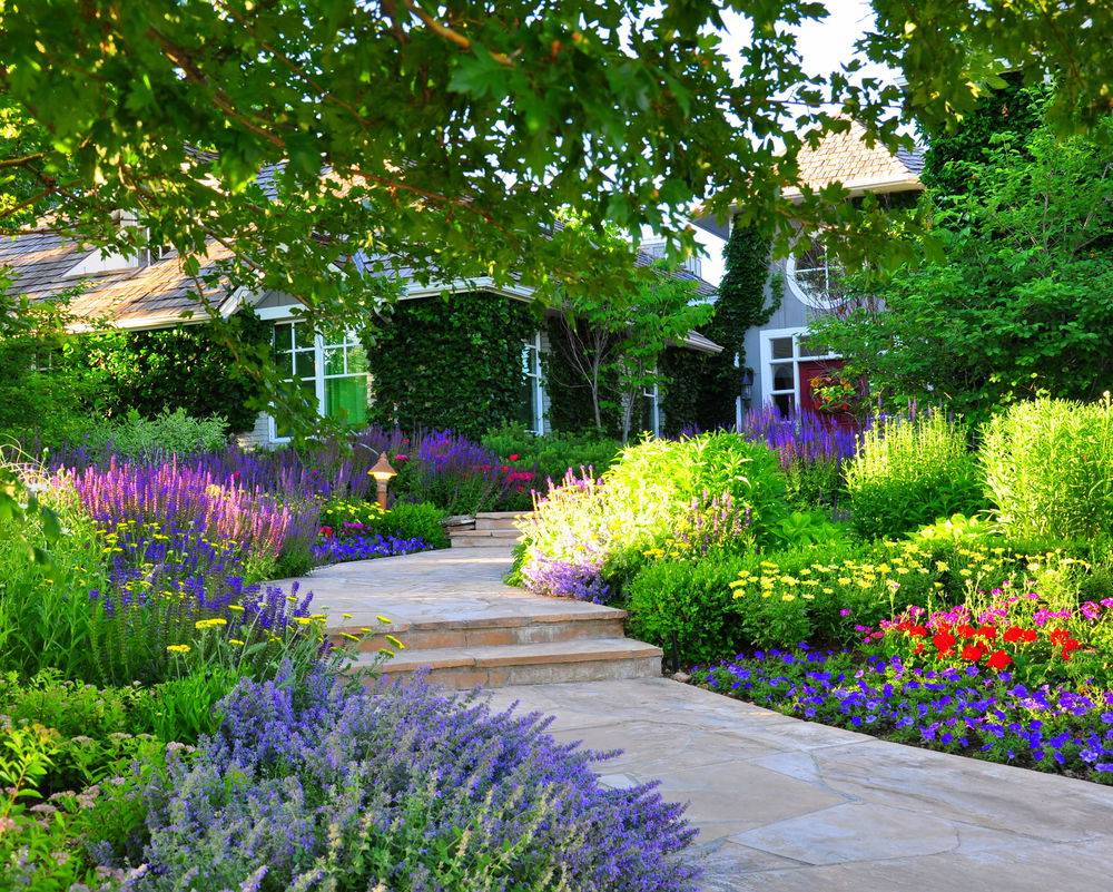 Colorado Perennial Garden