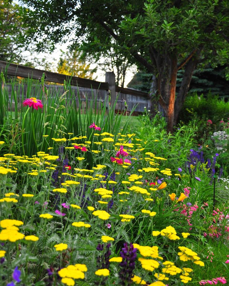 Colorado Springs Utilities Xeriscape Demonstration Garden