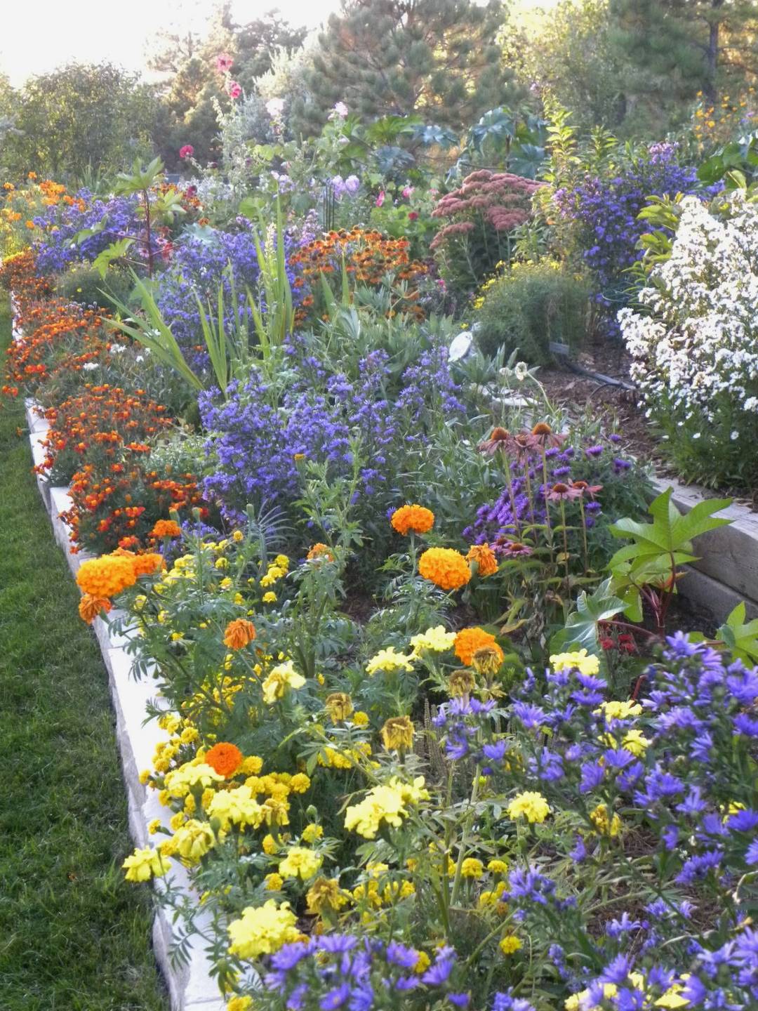 English Perennial Garden