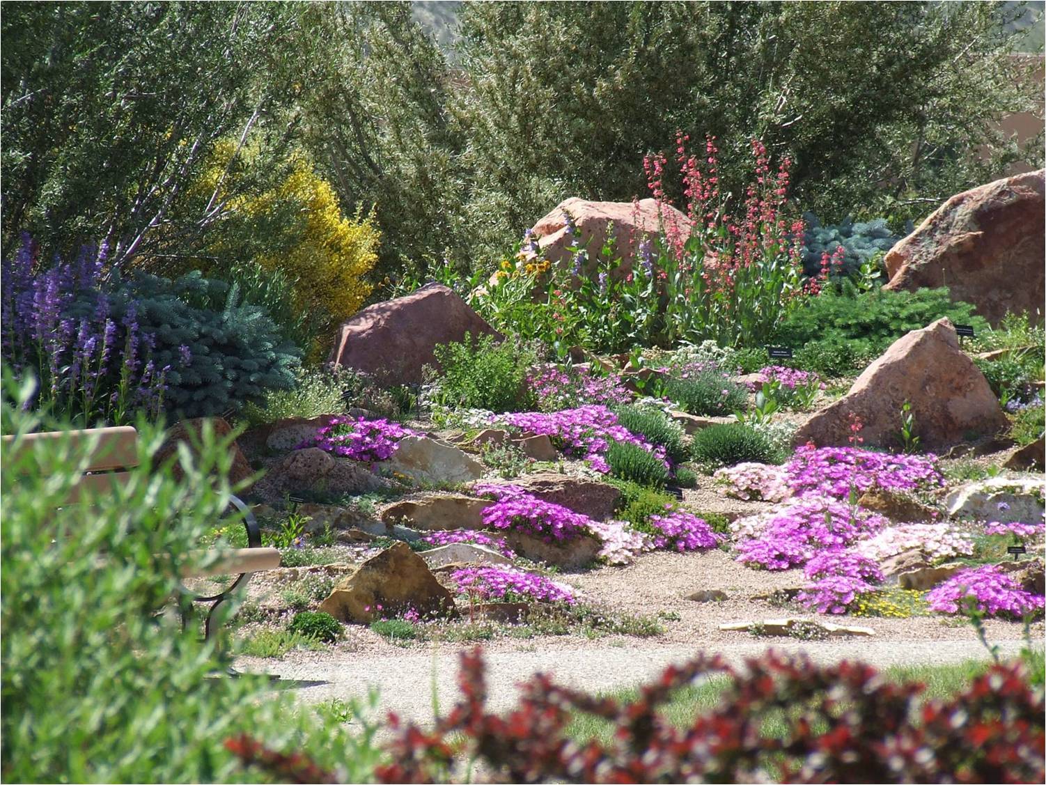 Beautiful Moss Rock Borders