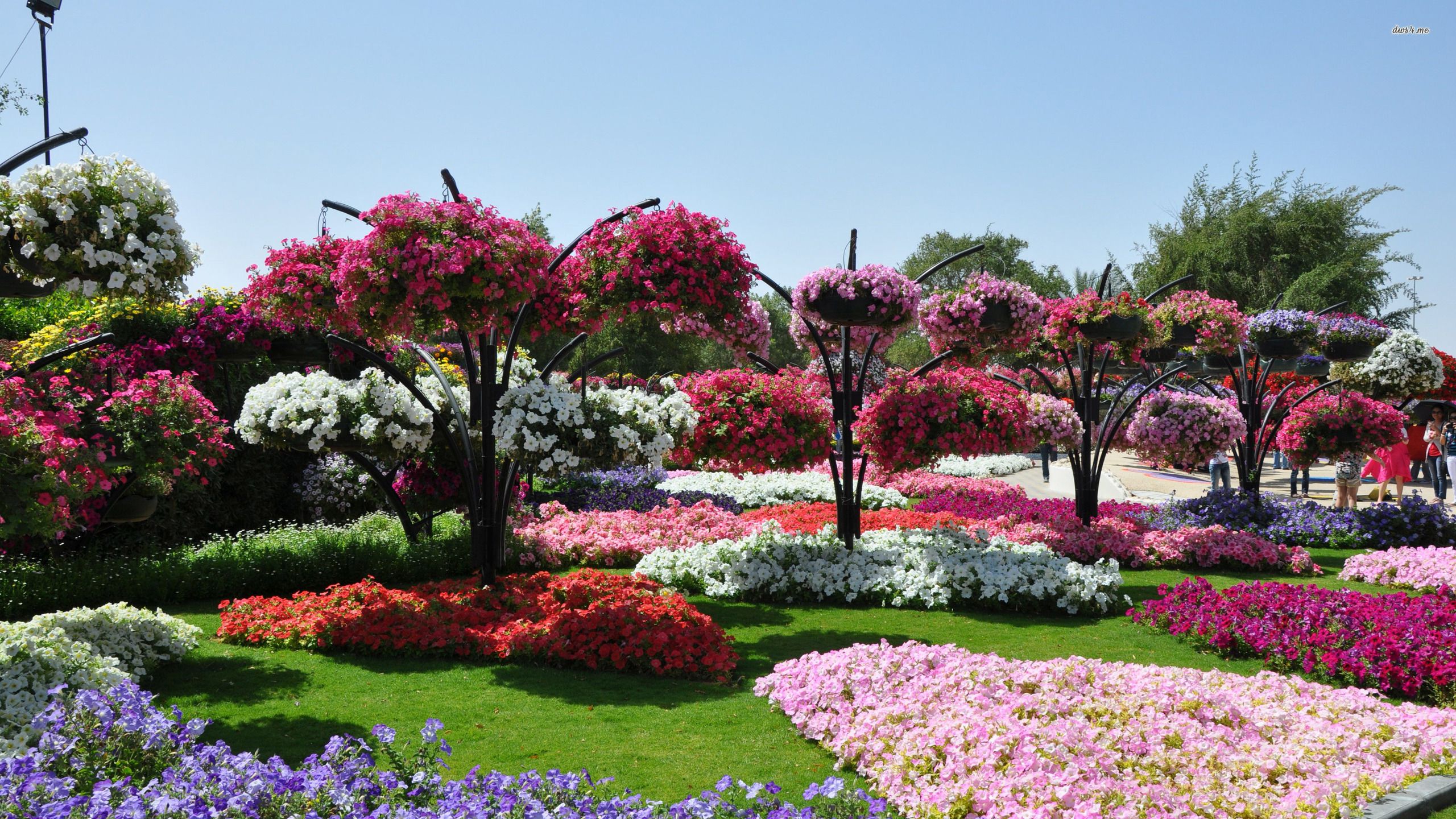 Beautiful Garden Hd Wallpaper Download Flower Garden Images