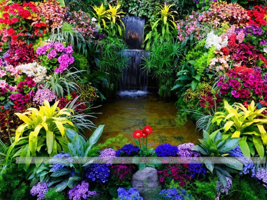 Japanese Garden Desktop Wallpaper