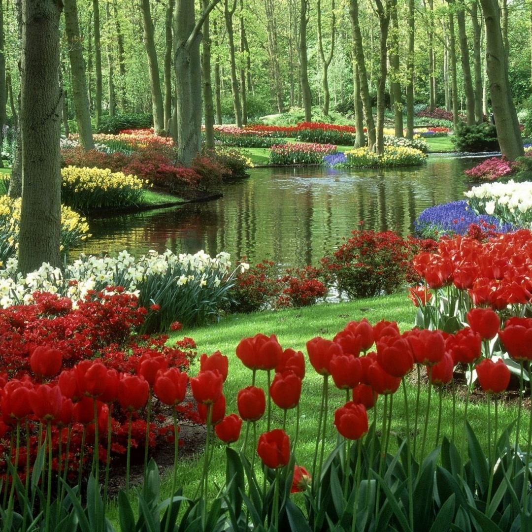 Rose Garden Wallpapers Wallpaper Cave